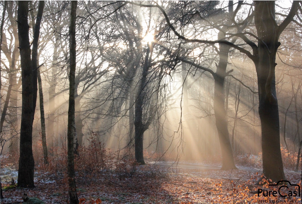 Zen.nl, Zen, meditatie, leren mediteren, foto